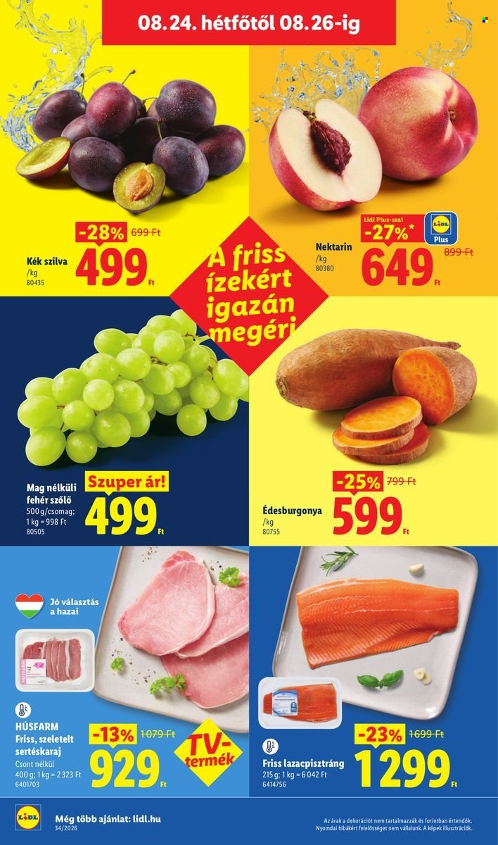 Lidl akciós újságok - 2026.08.19 - 2026.08.26. Oldal 54