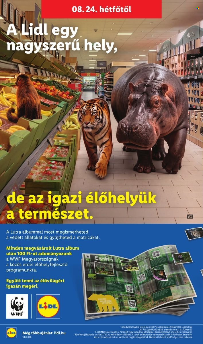 Lidl akciós újságok - 2026.08.19 - 2026.08.26. Oldal 28