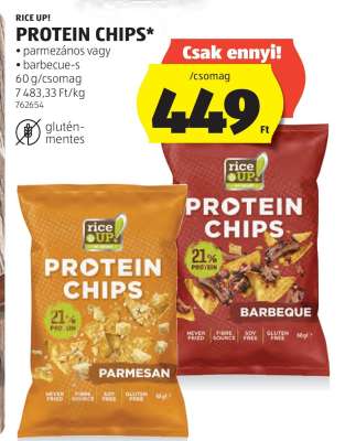 Rice Up! Protein Chips