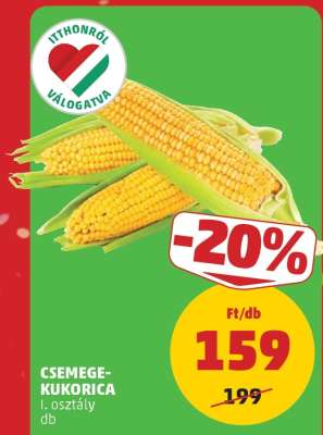 Csemege-kukorica