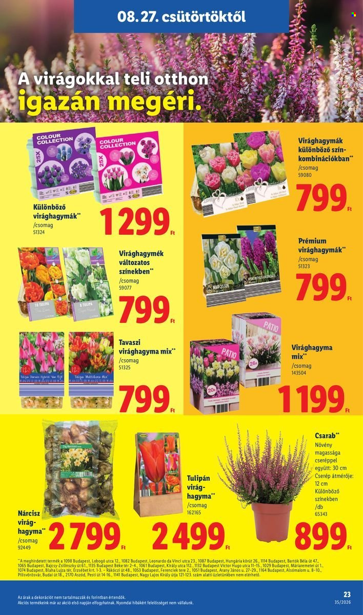 Lidl akciós újságok - 2026.08.27 - 2026.09.02. Oldal 23
