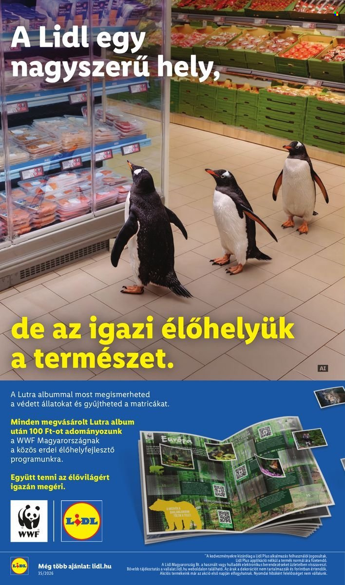 Lidl akciós újságok - 2026.08.27 - 2026.09.02. Oldal 36