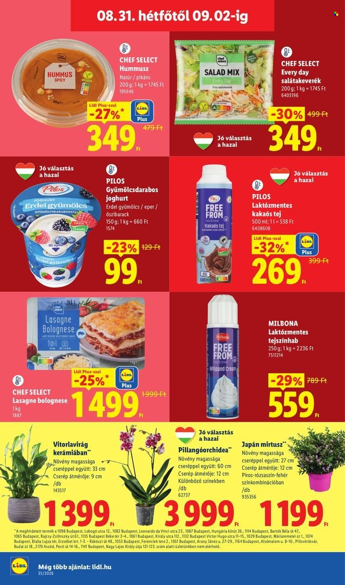 Lidl akciós újságok - 2026.08.27 - 2026.09.02. Oldal 66