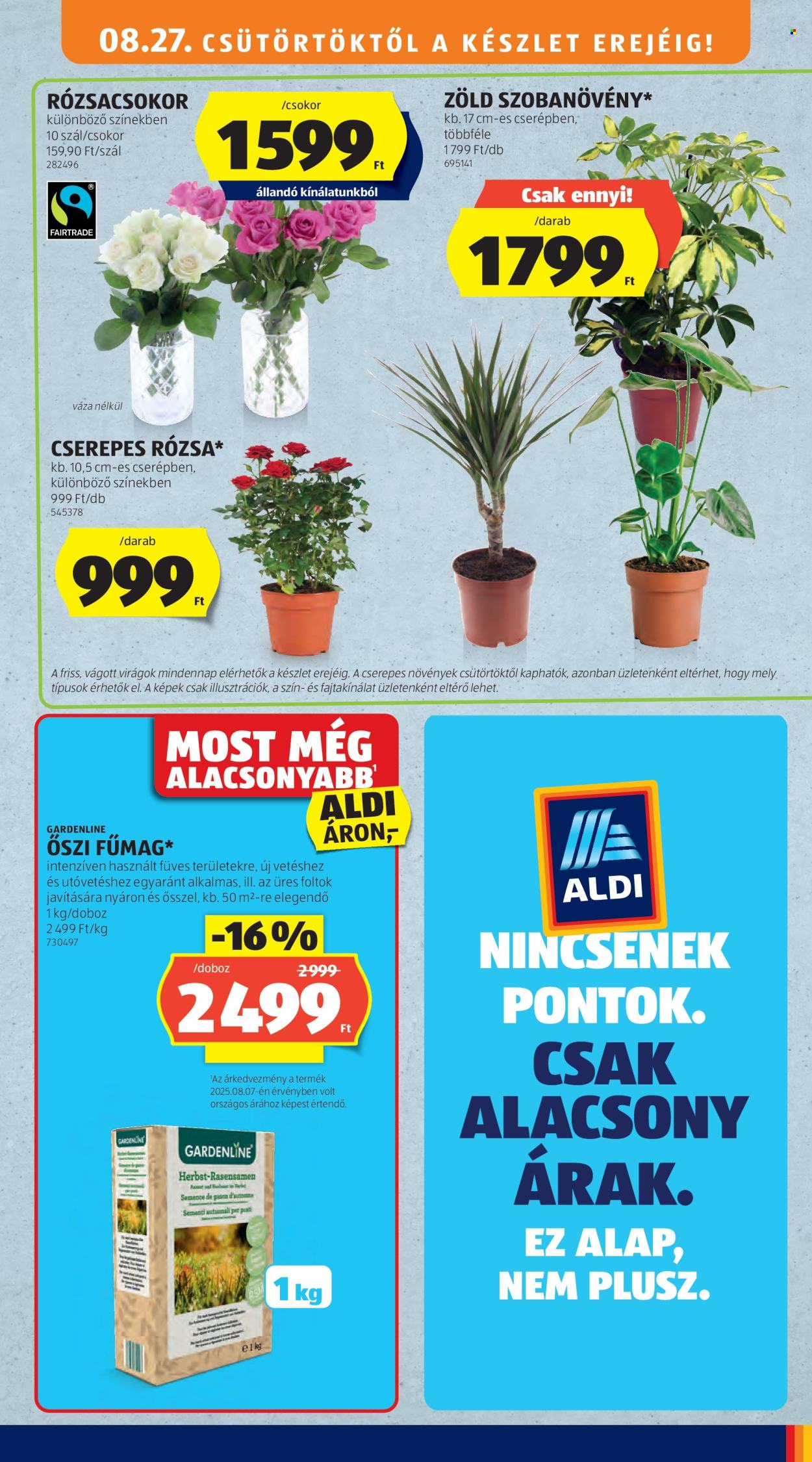Aldi akciós újságok - 2026.08.27 - 2026.09.02. Oldal 41