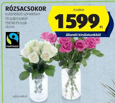 RÓZSACSOKOR