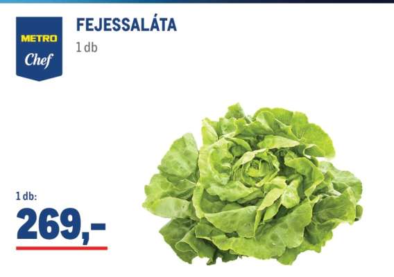 Fejessaláta