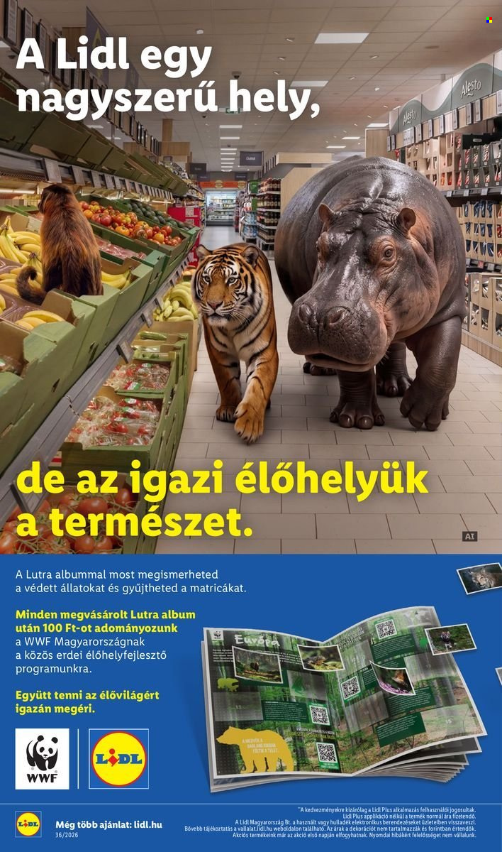 Lidl akciós újságok - 2026.09.03 - 2026.09.09. Oldal 18