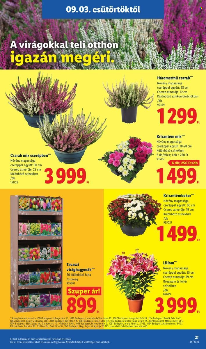 Lidl akciós újságok - 2026.09.03 - 2026.09.09. Oldal 21