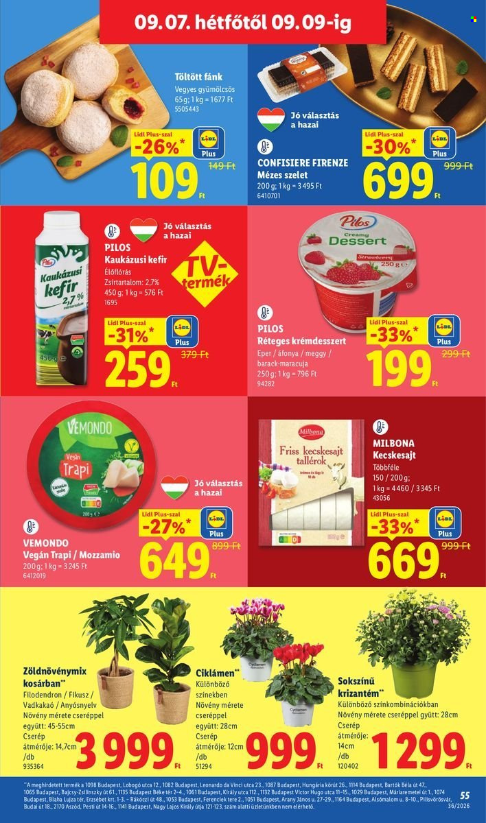 Lidl akciós újságok - 2026.09.03 - 2026.09.09. Oldal 55