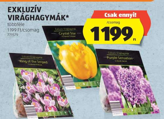 Exkluzív virághagymák