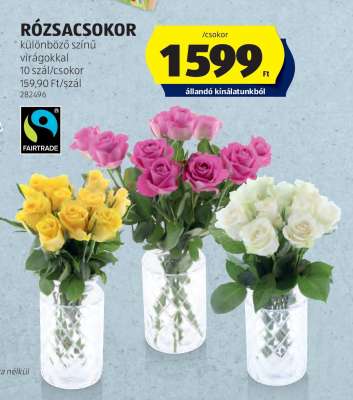 RÓZSACSOKOR