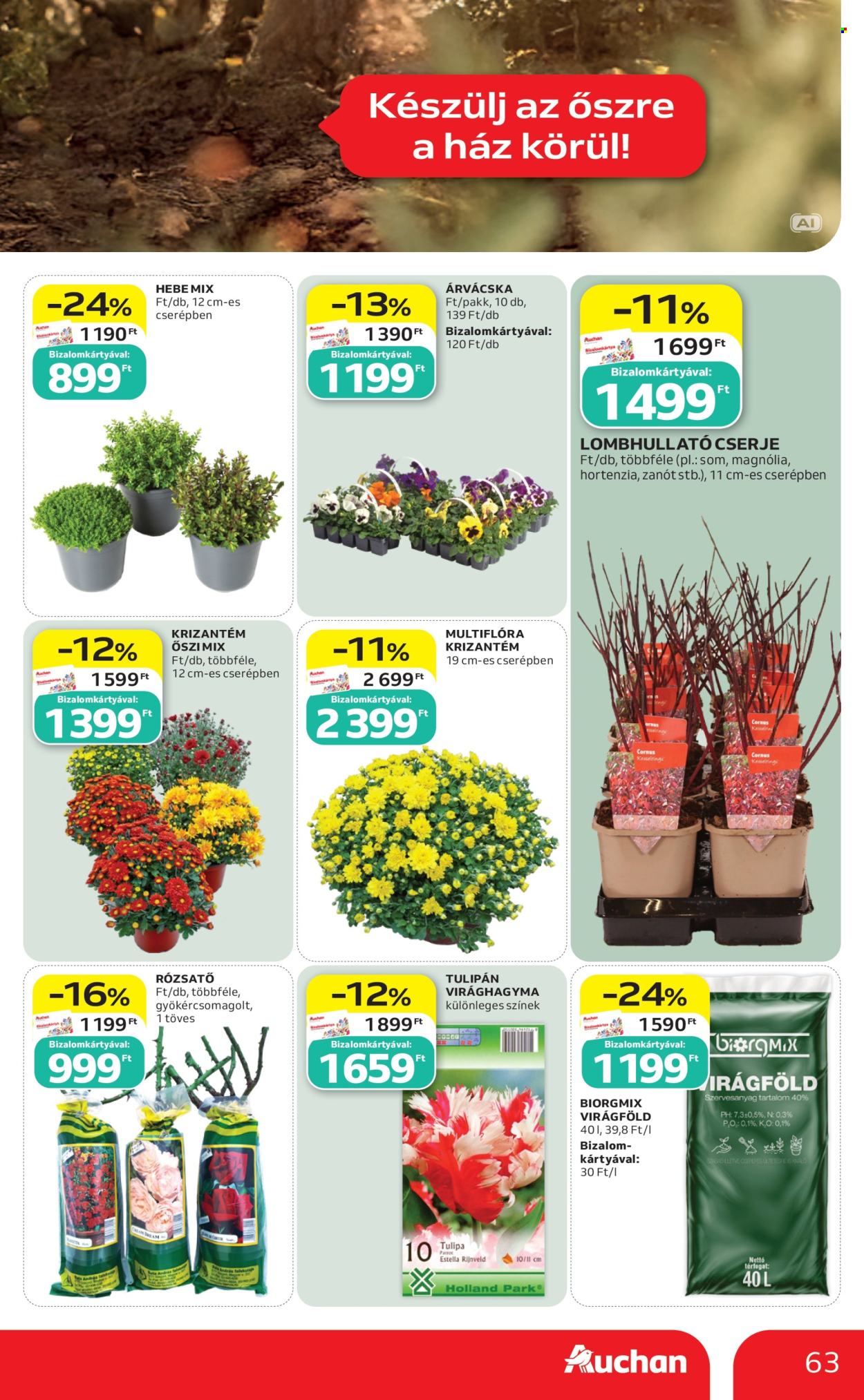 Auchan akciós újságok - 2026.09.03 - 2026.09.09. Oldal 63