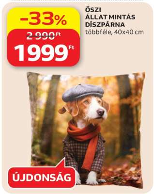 Őszi állat mintás díszpárna