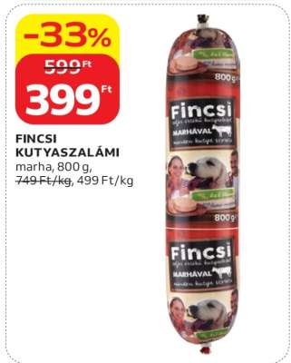 FINCSI KUTYASZALÁMI