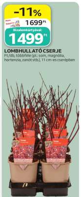 LOMBHULLATÓ CSERJE