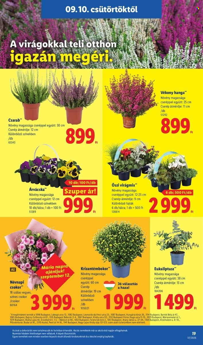 Lidl akciós újságok - 2026.09.10 - 2026.09.16. Oldal 19
