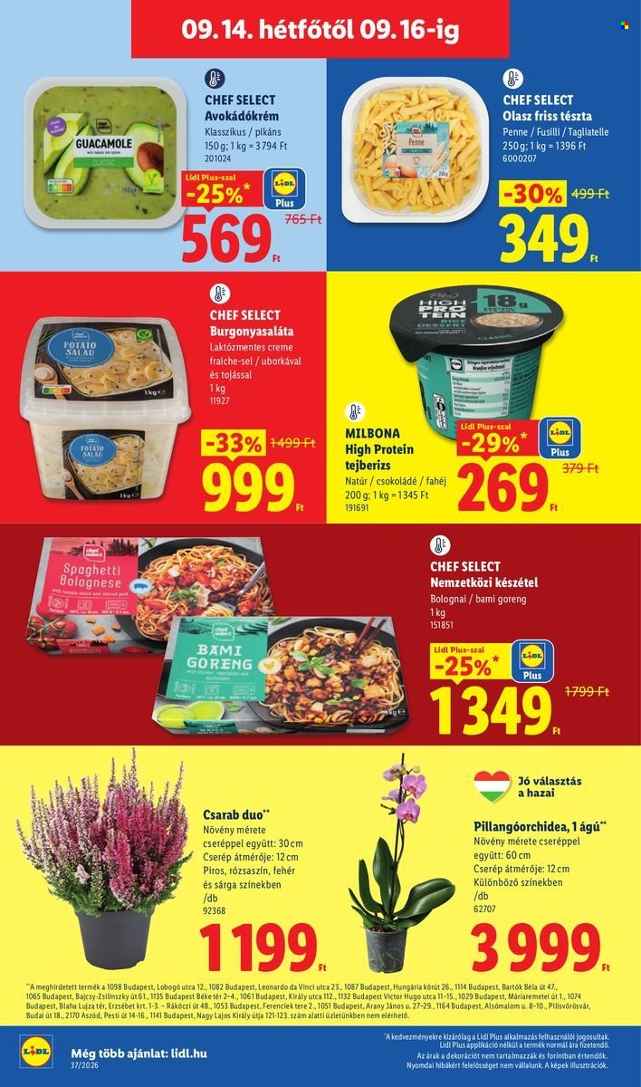 Lidl akciós újságok - 2026.09.10 - 2026.09.16. Oldal 60
