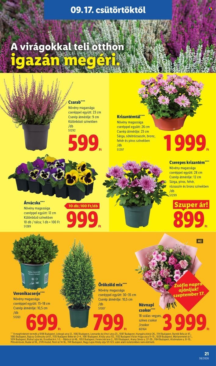 Lidl akciós újságok - 2026.09.17 - 2026.09.23. Oldal 21