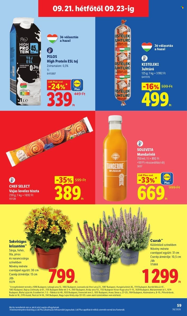 Lidl akciós újságok - 2026.09.17 - 2026.09.23. Oldal 59