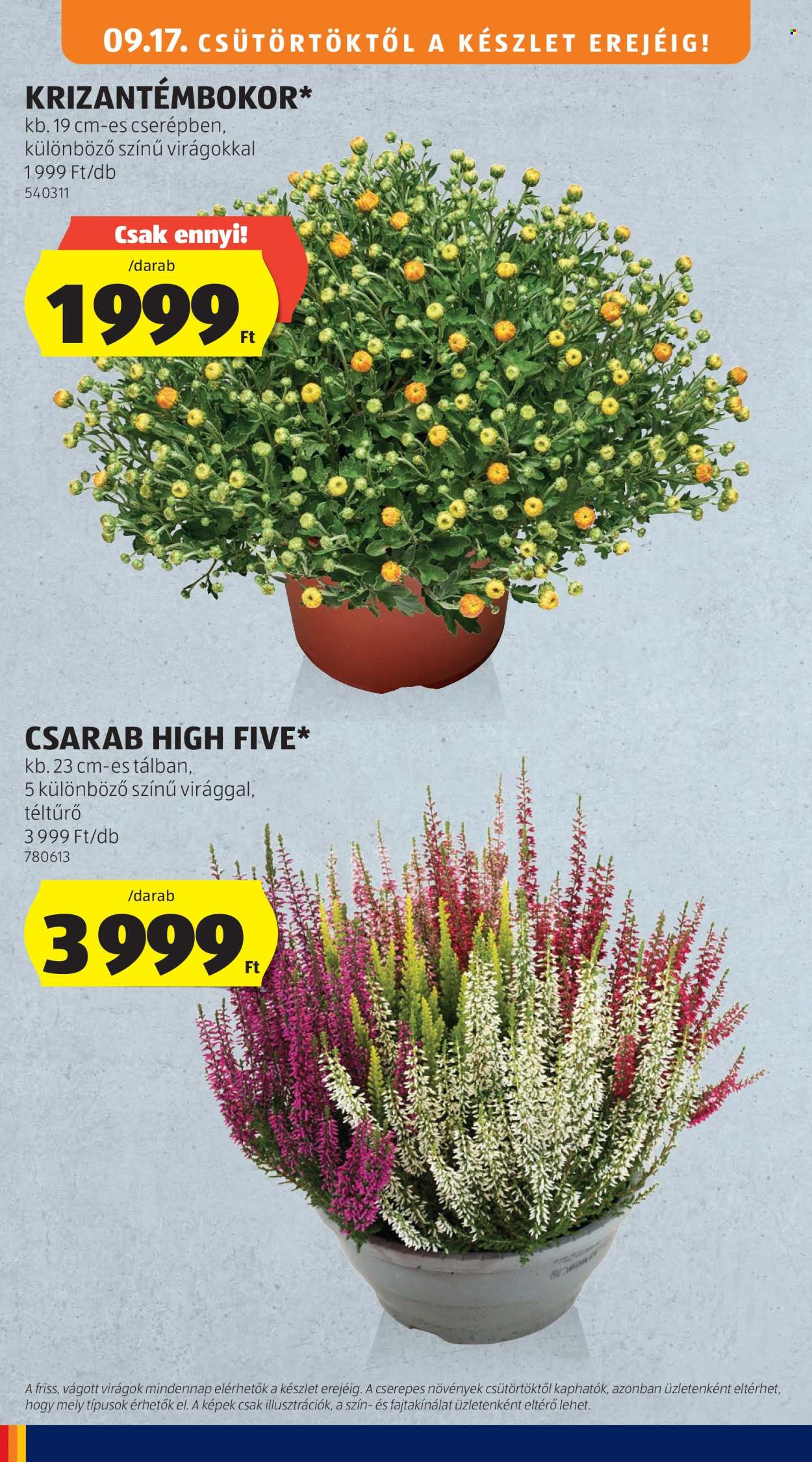 Aldi akciós újságok - 2026.09.17 - 2026.09.23. Oldal 32