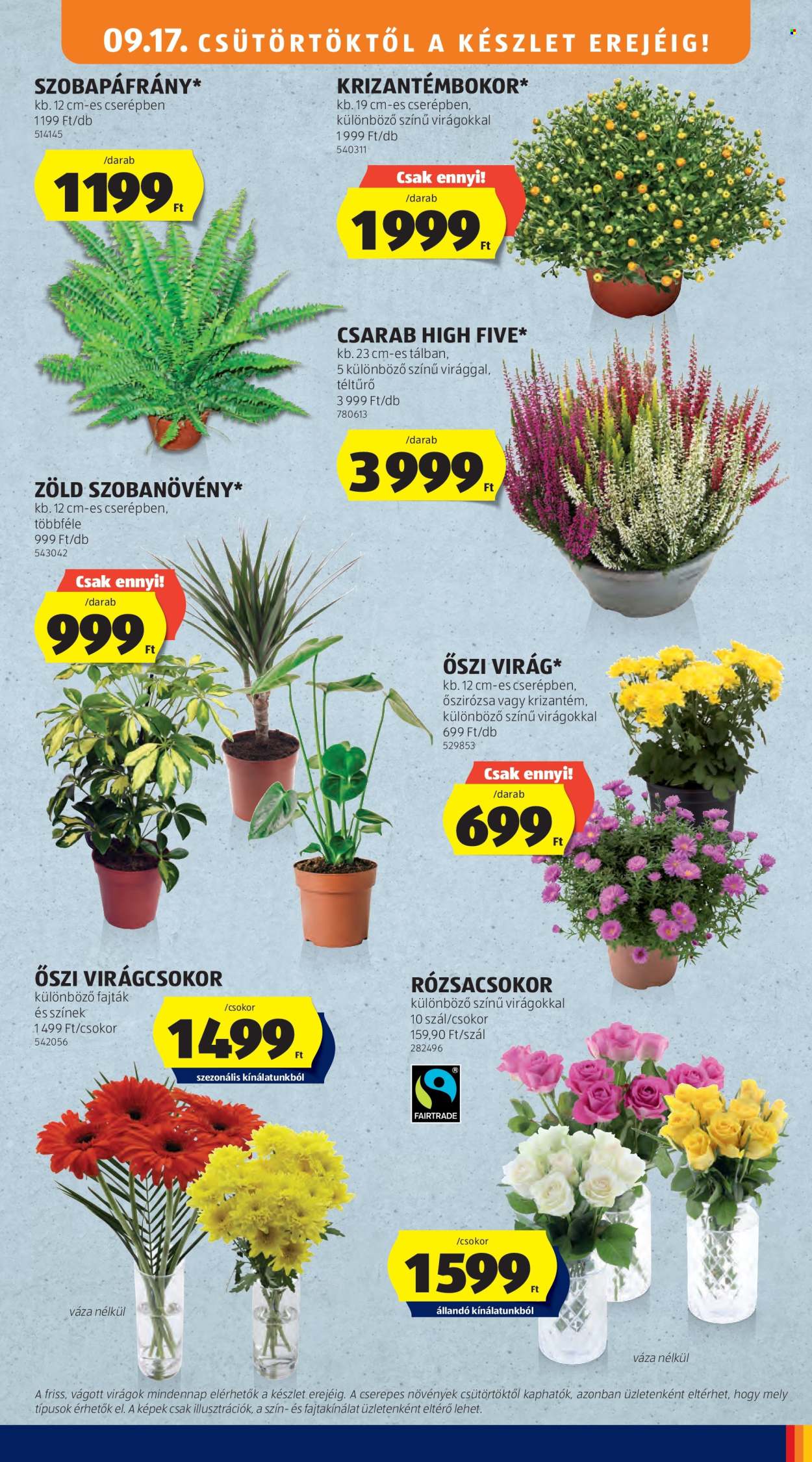 Aldi akciós újságok - 2026.09.17 - 2026.09.23. Oldal 35
