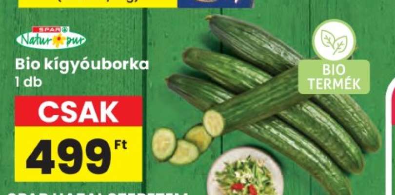 Bio kígyóuborka