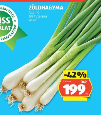 ZÖLDHAGYMA