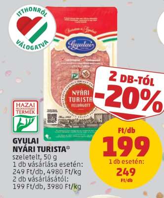 Gyulai Nyári Turista