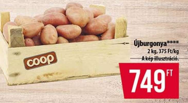 Újburgonya