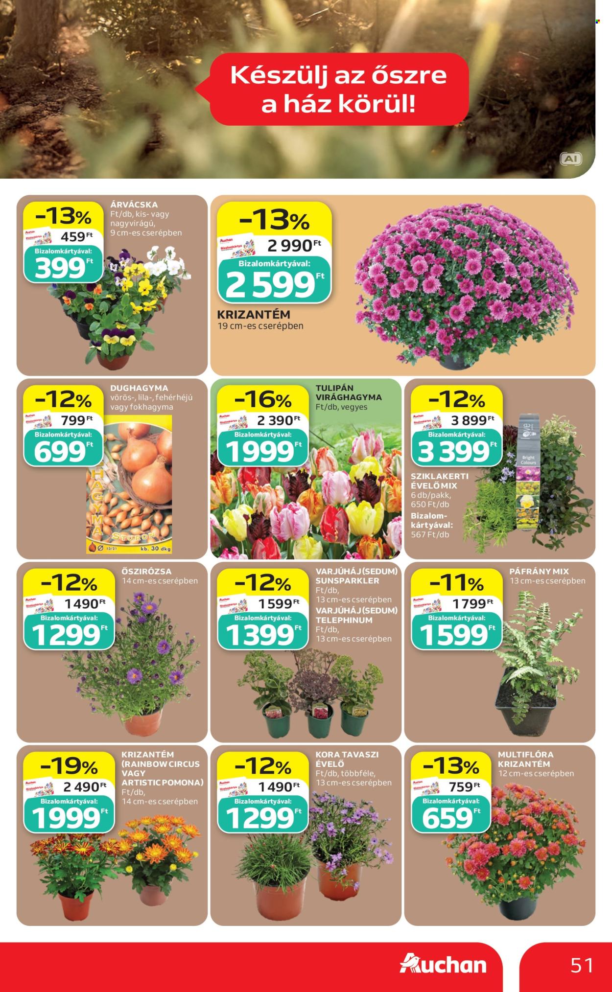 Auchan akciós újságok - 2026.09.17 - 2026.09.23. Oldal 51