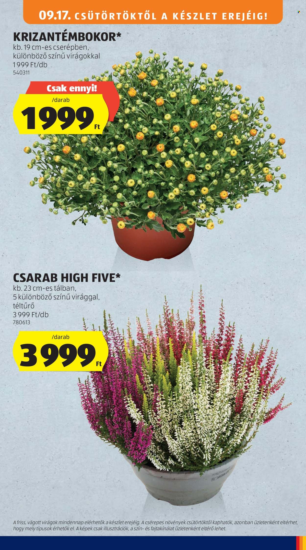 Aldi akciós újságok - 2026.09.17 - 2026.09.23. Oldal 5