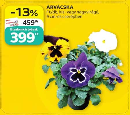 Árvácska**