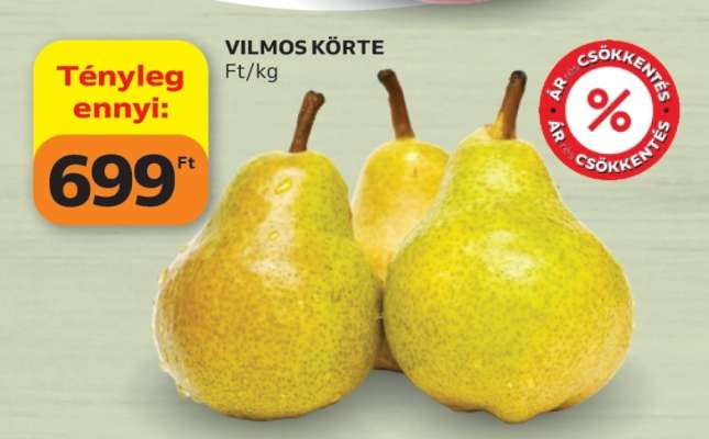 Vilmos Körte