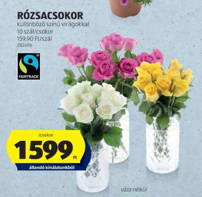 RÓZSACSOKOR