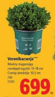 Veronikacserje*