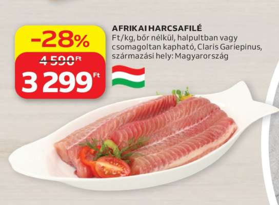 Afrikai Harcsafilé