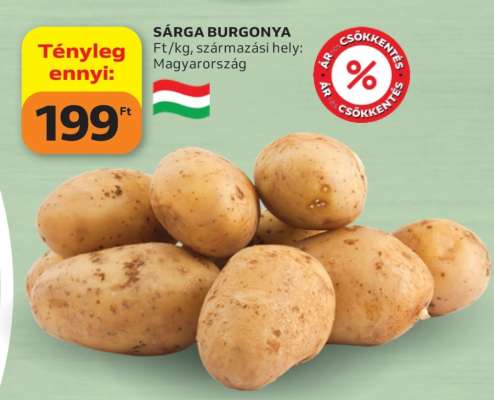 Sárga Burgonya