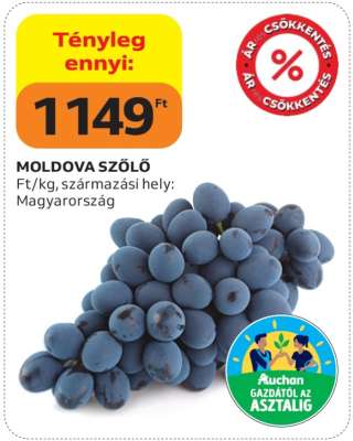 MOLDOVA SZŐLŐ