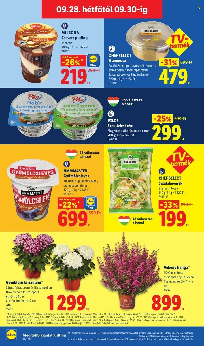 Lidl akciós újságok - 2026.09.24 - 2026.09.30. Oldal 52