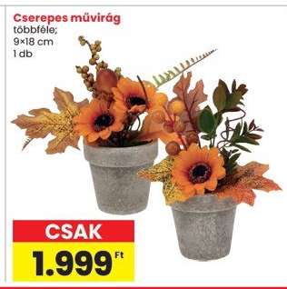 Cserepes művirág