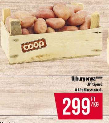 Újburgonya