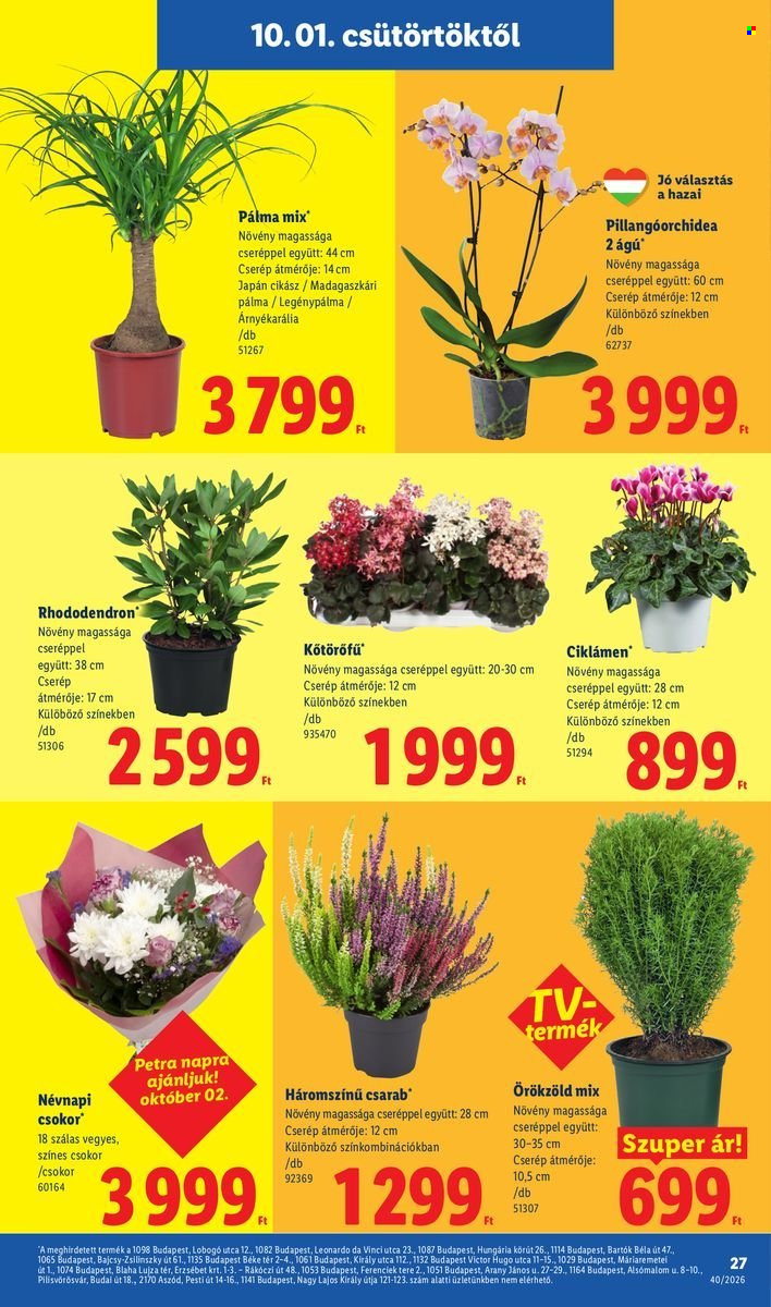 Lidl akciós újságok - 2026.10.01 - 2026.10.07. Oldal 27