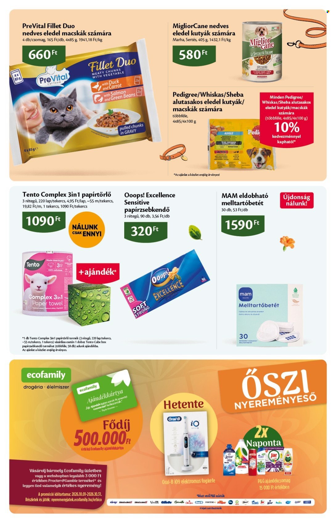 EcoFamily akciós újságok - 2026.10.01 - 2026.10.11. Oldal 19