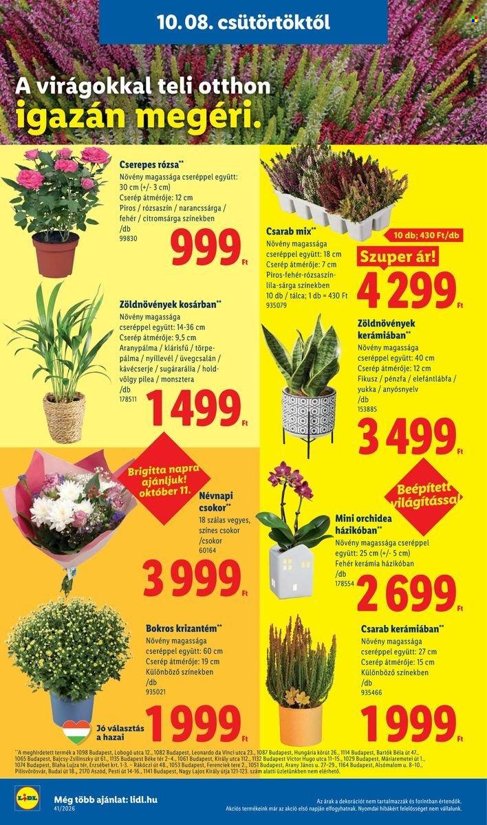 Lidl akciós újságok - 2026.10.08 - 2026.10.14. Oldal 16