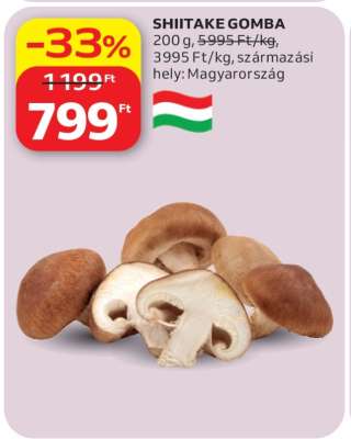 Shiitake gomba