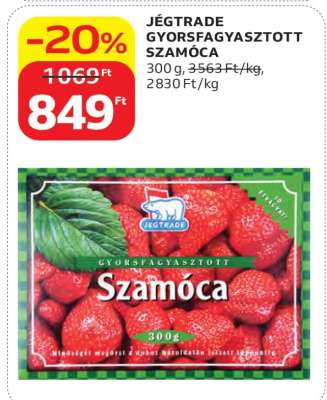 JÉGTRADE GYORSFAGYASZTOTT SZAMÓCA