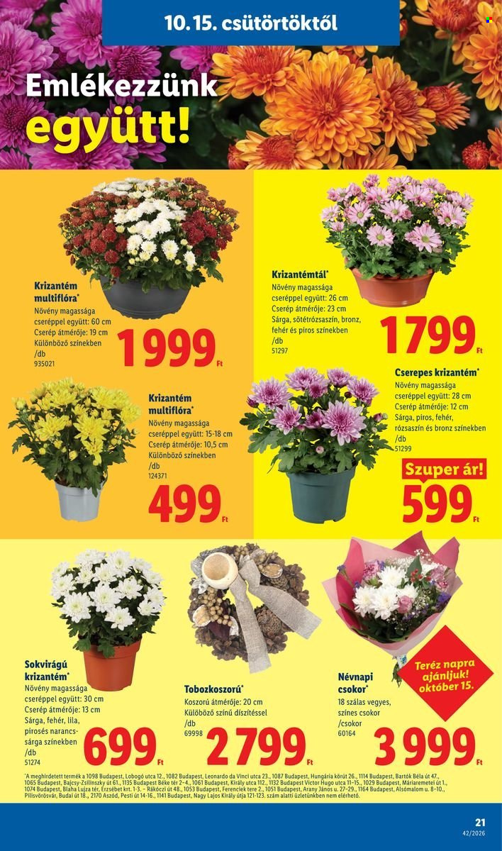 Lidl akciós újságok - 2026.10.15 - 2026.10.21. Oldal 21