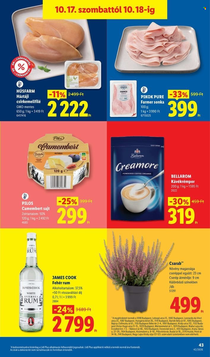 Lidl akciós újságok - 2026.10.15 - 2026.10.21. Oldal 43