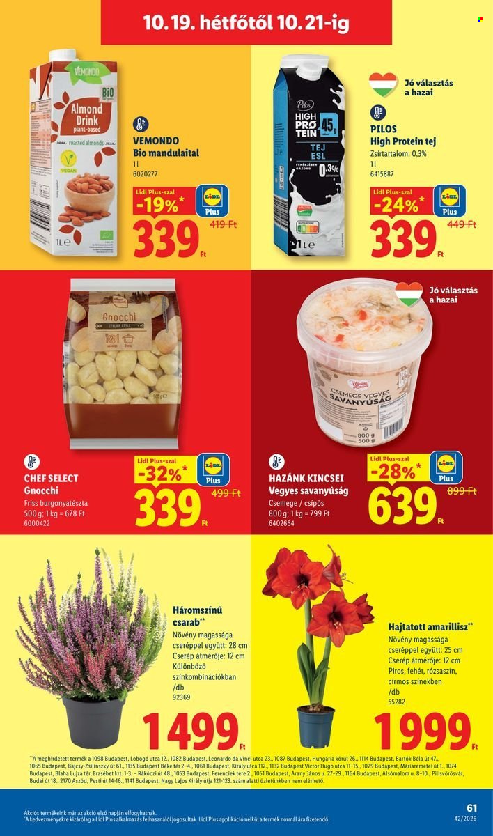 Lidl akciós újságok - 2026.10.15 - 2026.10.21. Oldal 61