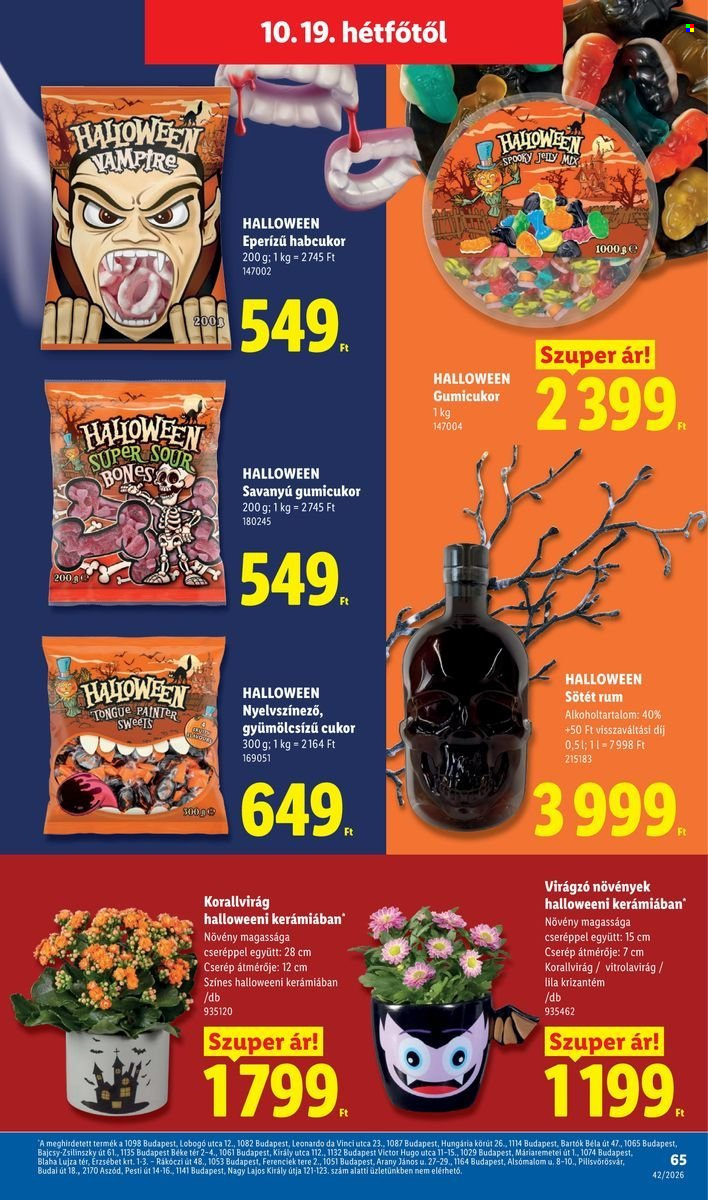 Lidl akciós újságok - 2026.10.15 - 2026.10.21. Oldal 65